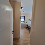 Laci * Tirana